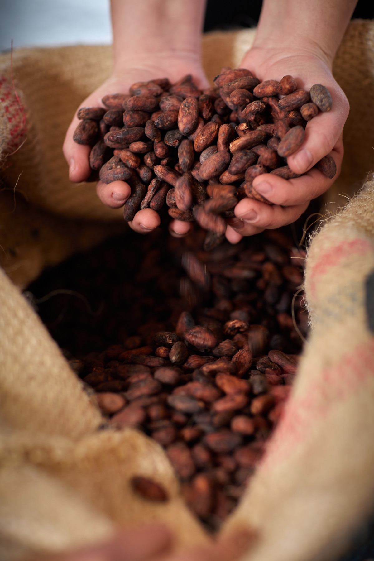 Kakaobohnen aus Kolumbien – Röstschmiede