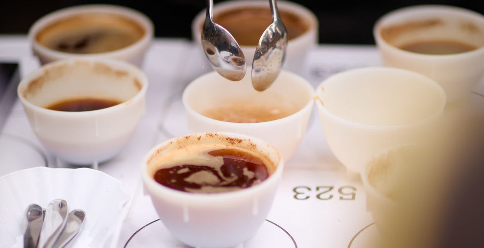 Community Cupping in der Röstschmiede